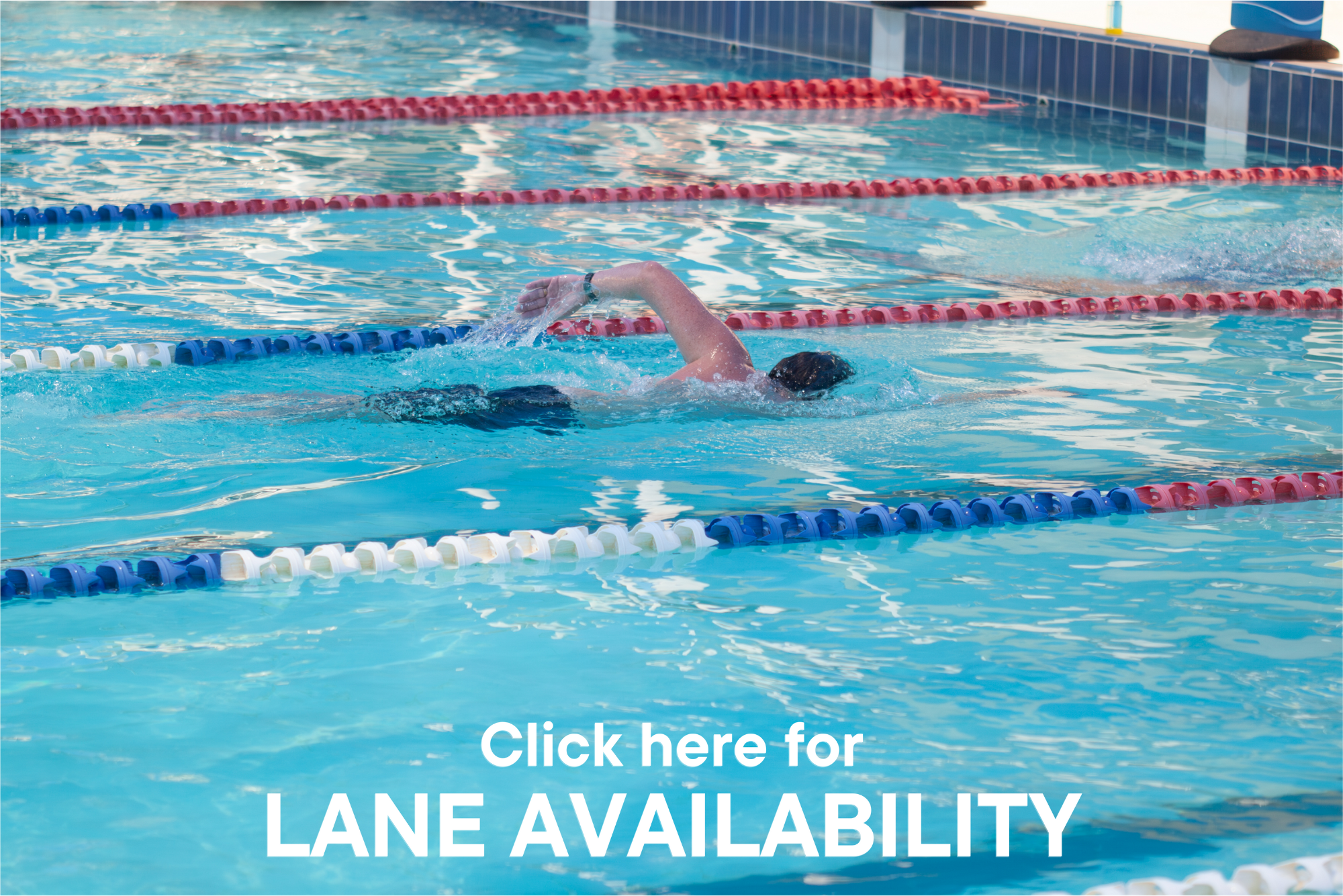 Lap Lane Availability